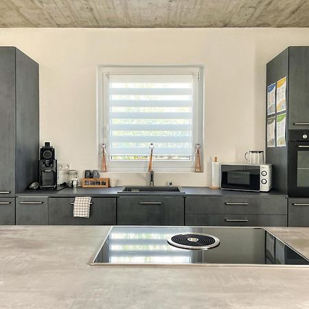Ferienwohnung Hegau Bodensee Rielasingen-Worblingen Esterno foto