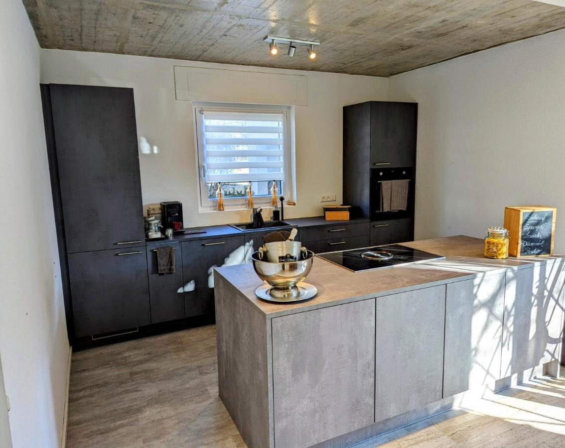 Ferienwohnung Hegau Bodensee Rielasingen-Worblingen Esterno foto
